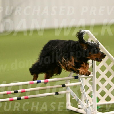 Journey-Candi-Gelis-10427