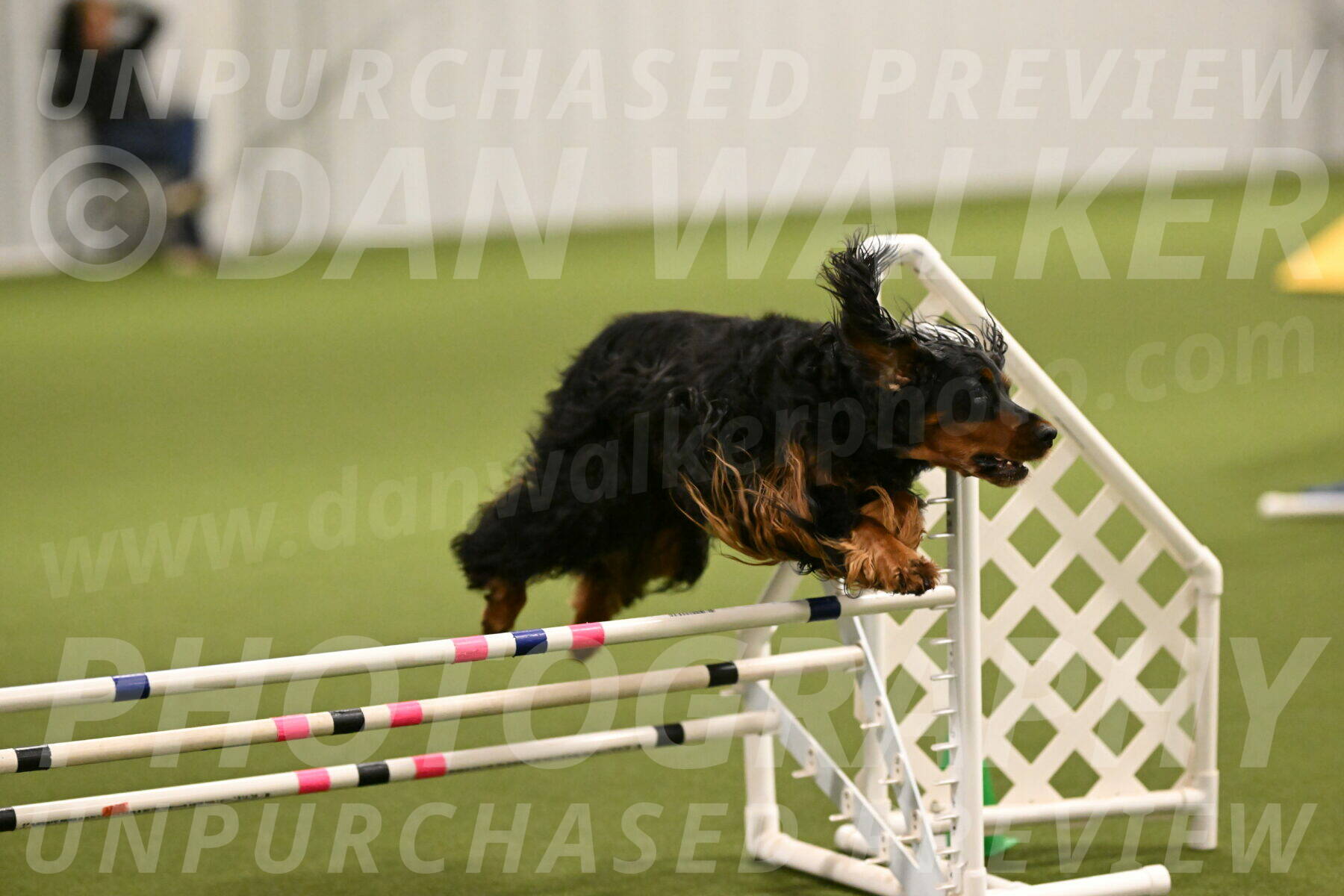 Journey-Candi-Gelis-10427