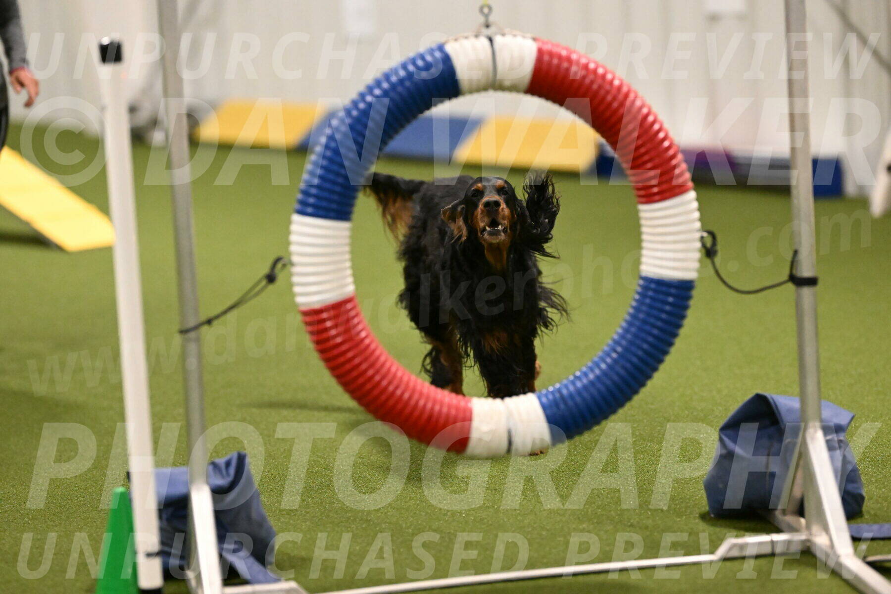 Journey-Candi-Gelis-10429