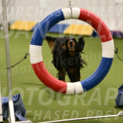 Journey-Candi-Gelis-10429