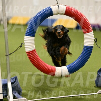 Journey-Candi-Gelis-10430