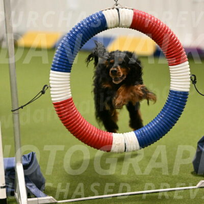 Journey-Candi-Gelis-10431