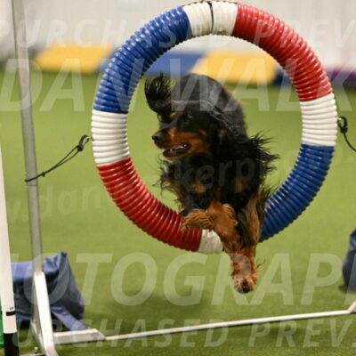 Journey-Candi-Gelis-10432