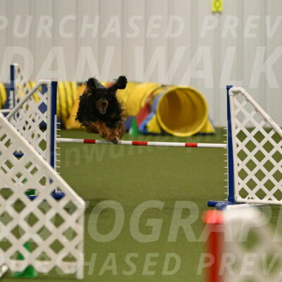 Journey-Candi-Gelis-10433