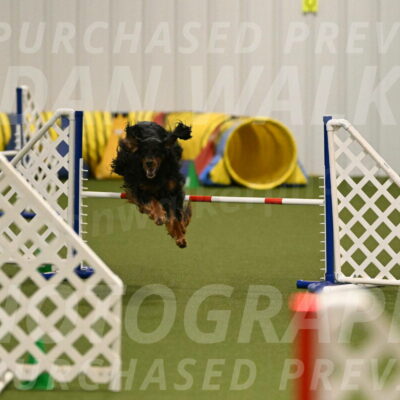 Journey-Candi-Gelis-10434