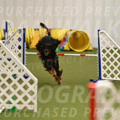 Journey-Candi-Gelis-10435