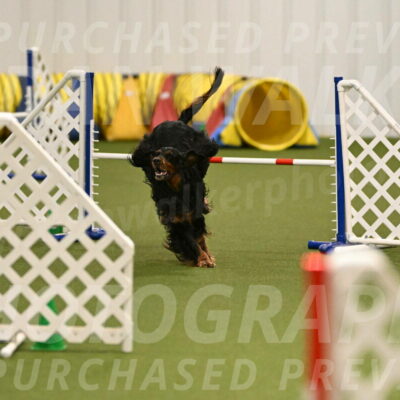 Journey-Candi-Gelis-10436