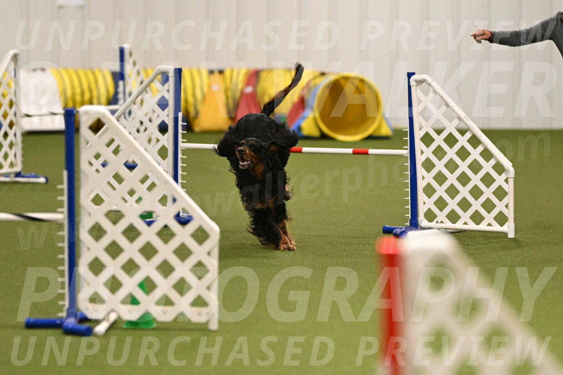 Journey-Candi-Gelis-10436