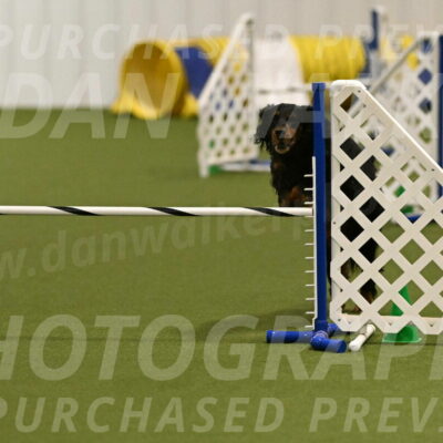 Journey-Candi-Gelis-10437