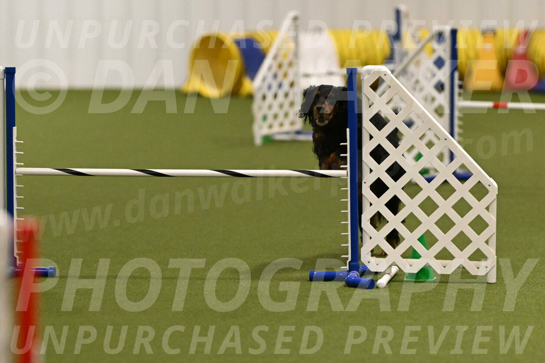 Journey-Candi-Gelis-10437