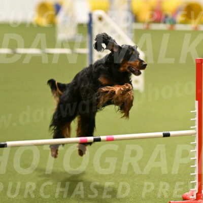 Journey-Candi-Gelis-10439