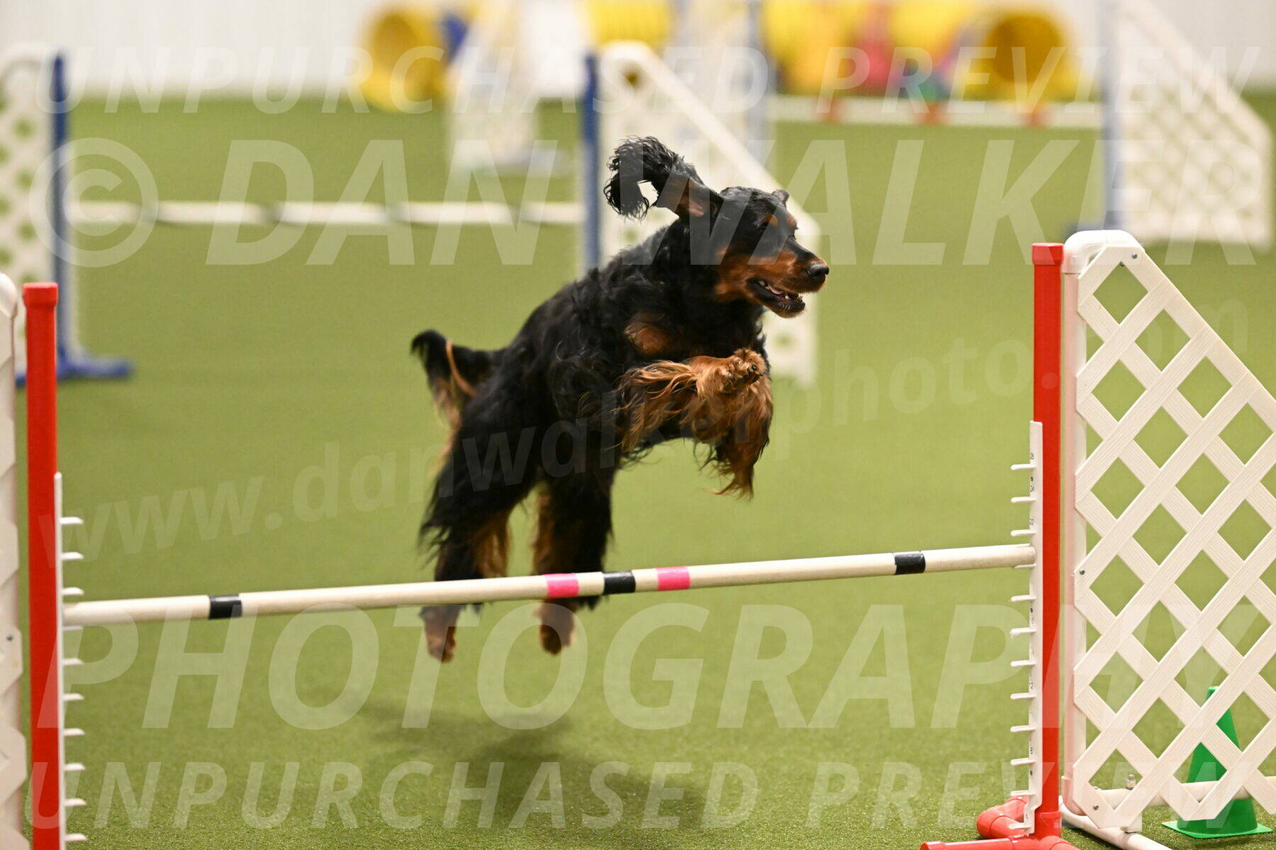 Journey-Candi-Gelis-10439