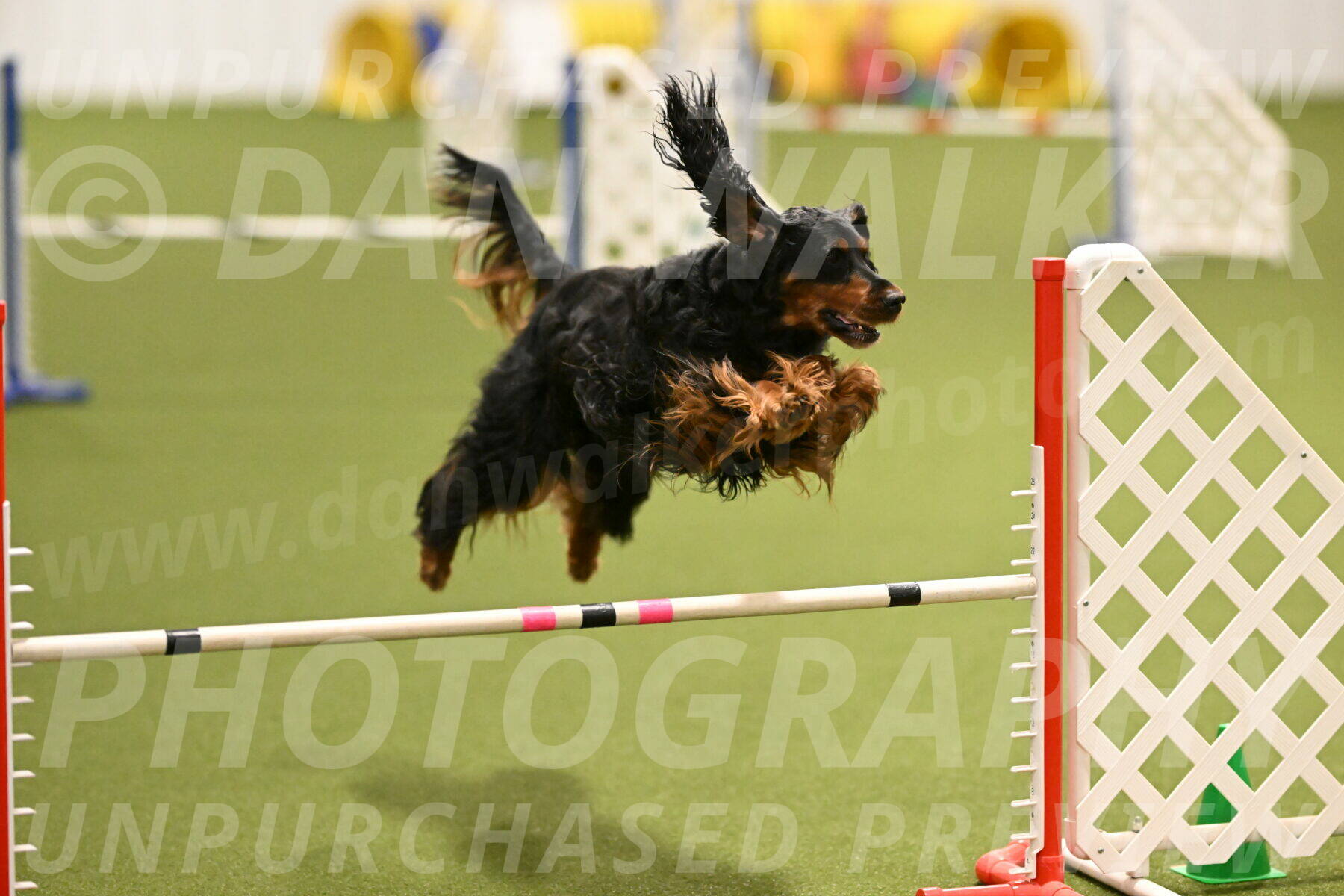 Journey-Candi-Gelis-10440