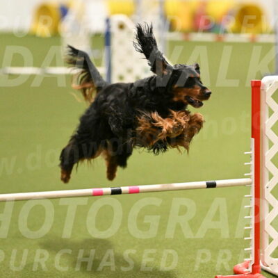 Journey-Candi-Gelis-10440