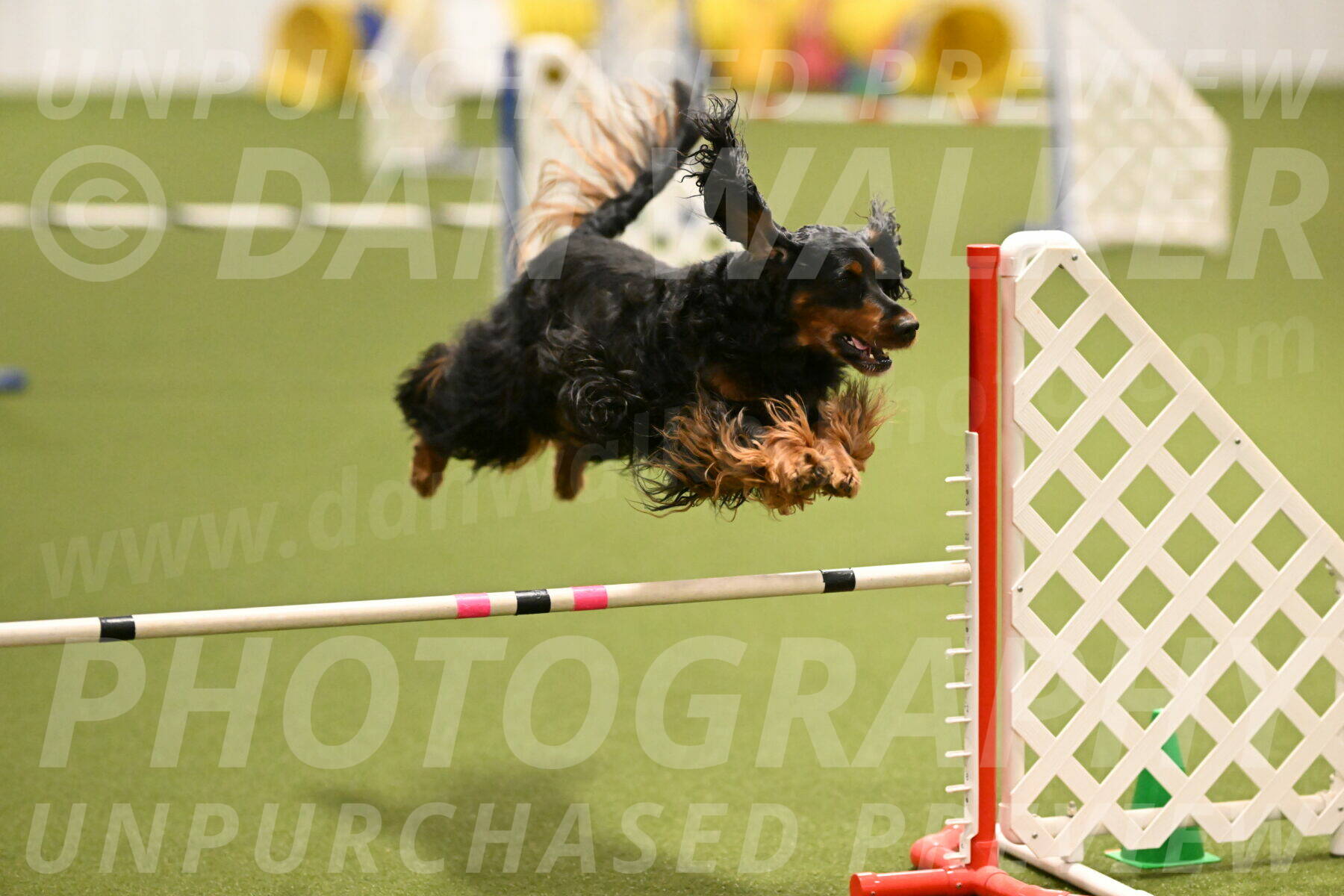 Journey-Candi-Gelis-10441