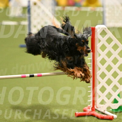 Journey-Candi-Gelis-10442