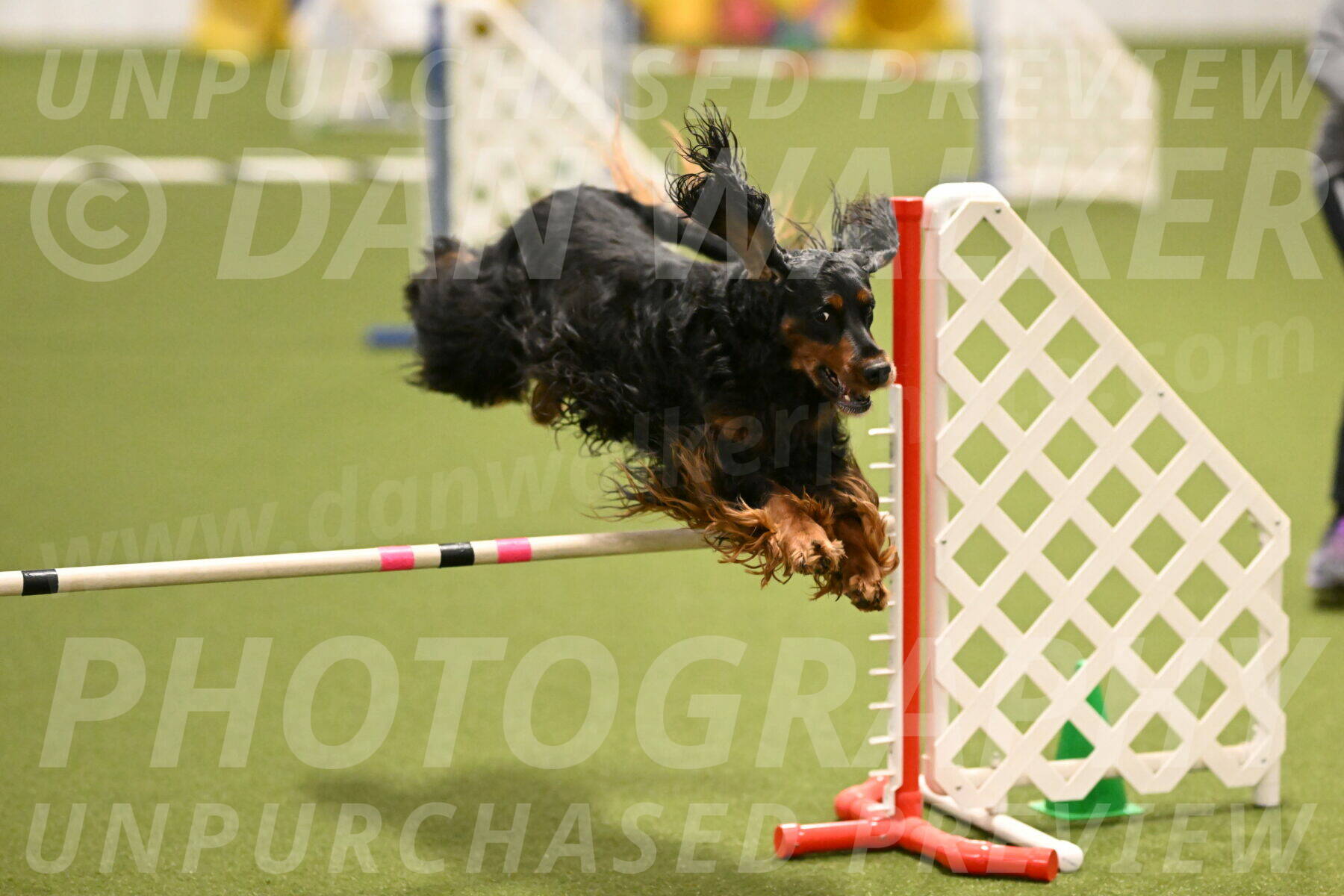 Journey-Candi-Gelis-10442