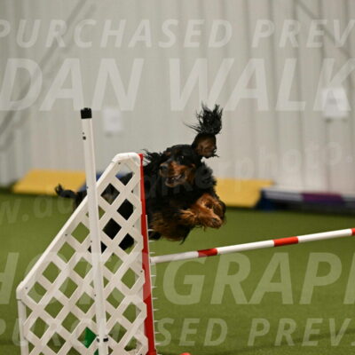 Journey-Candi-Gelis-10443