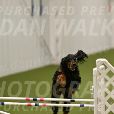 Journey-Candi-Gelis-10447