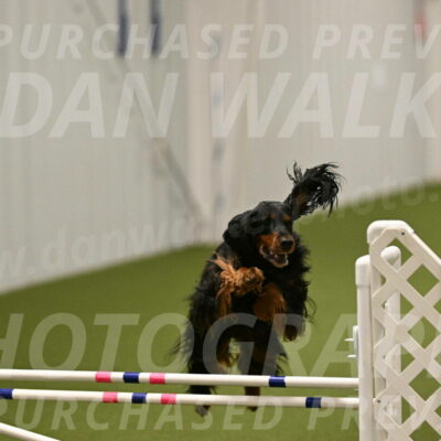 Journey-Candi-Gelis-10448