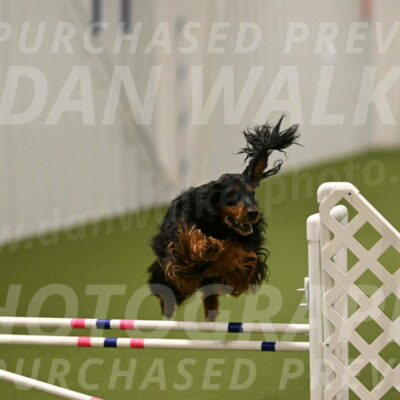 Journey-Candi-Gelis-10449