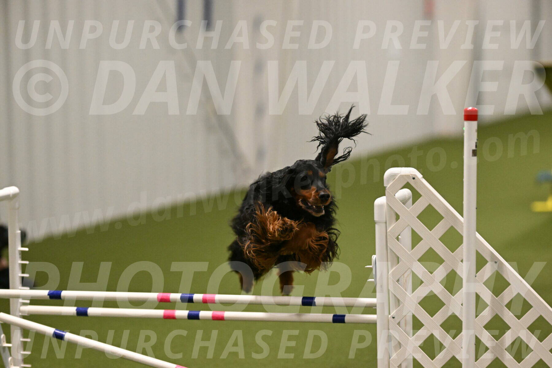 Journey-Candi-Gelis-10449