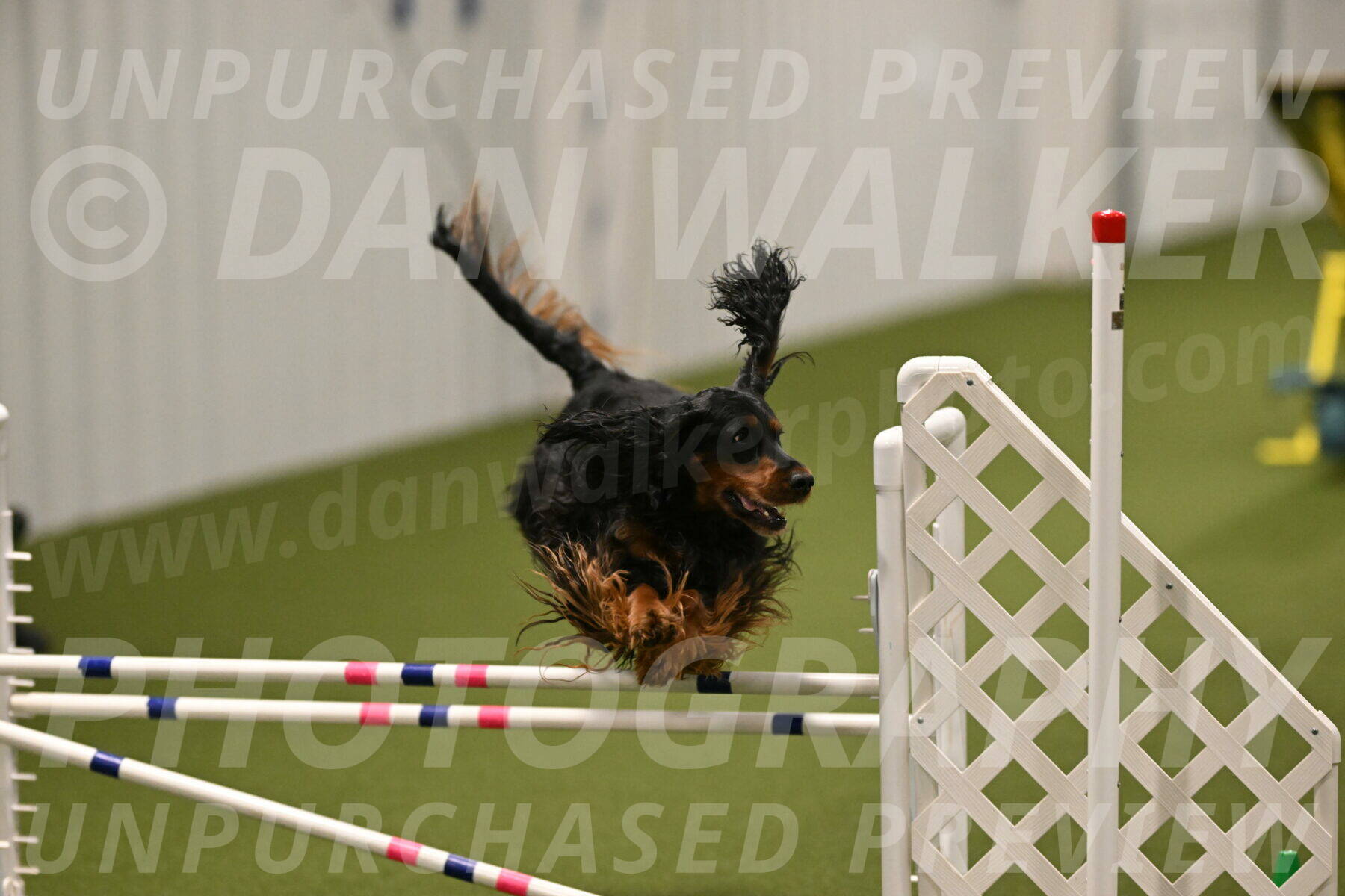 Journey-Candi-Gelis-10450