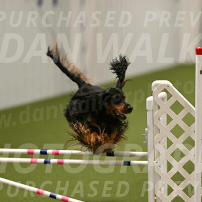 Journey-Candi-Gelis-10450