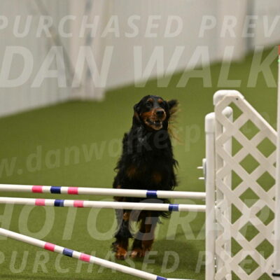 Journey-Candi-Gelis-10452