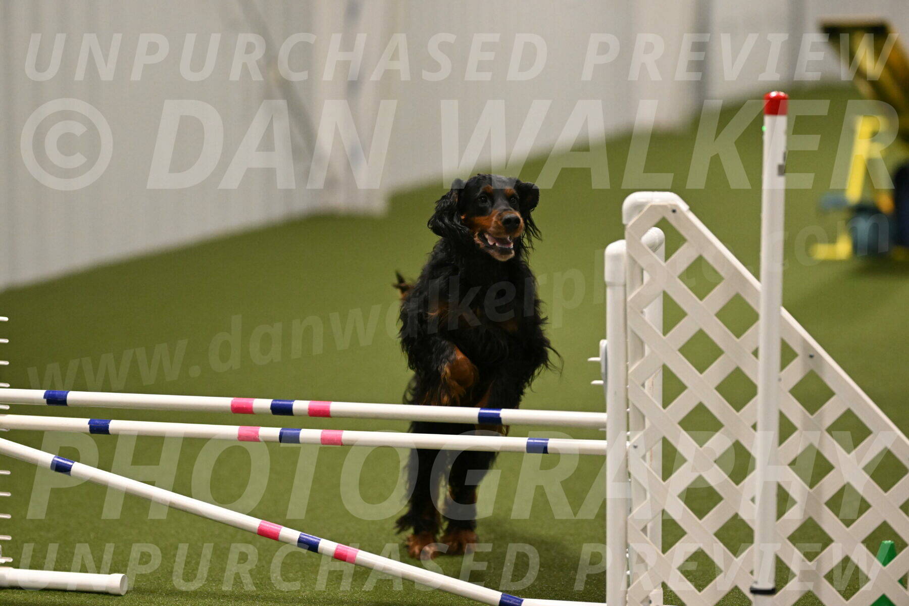 Journey-Candi-Gelis-10453