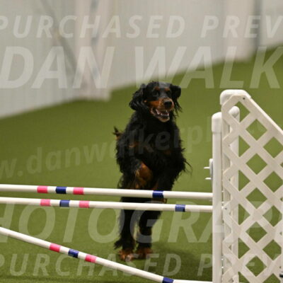 Journey-Candi-Gelis-10453