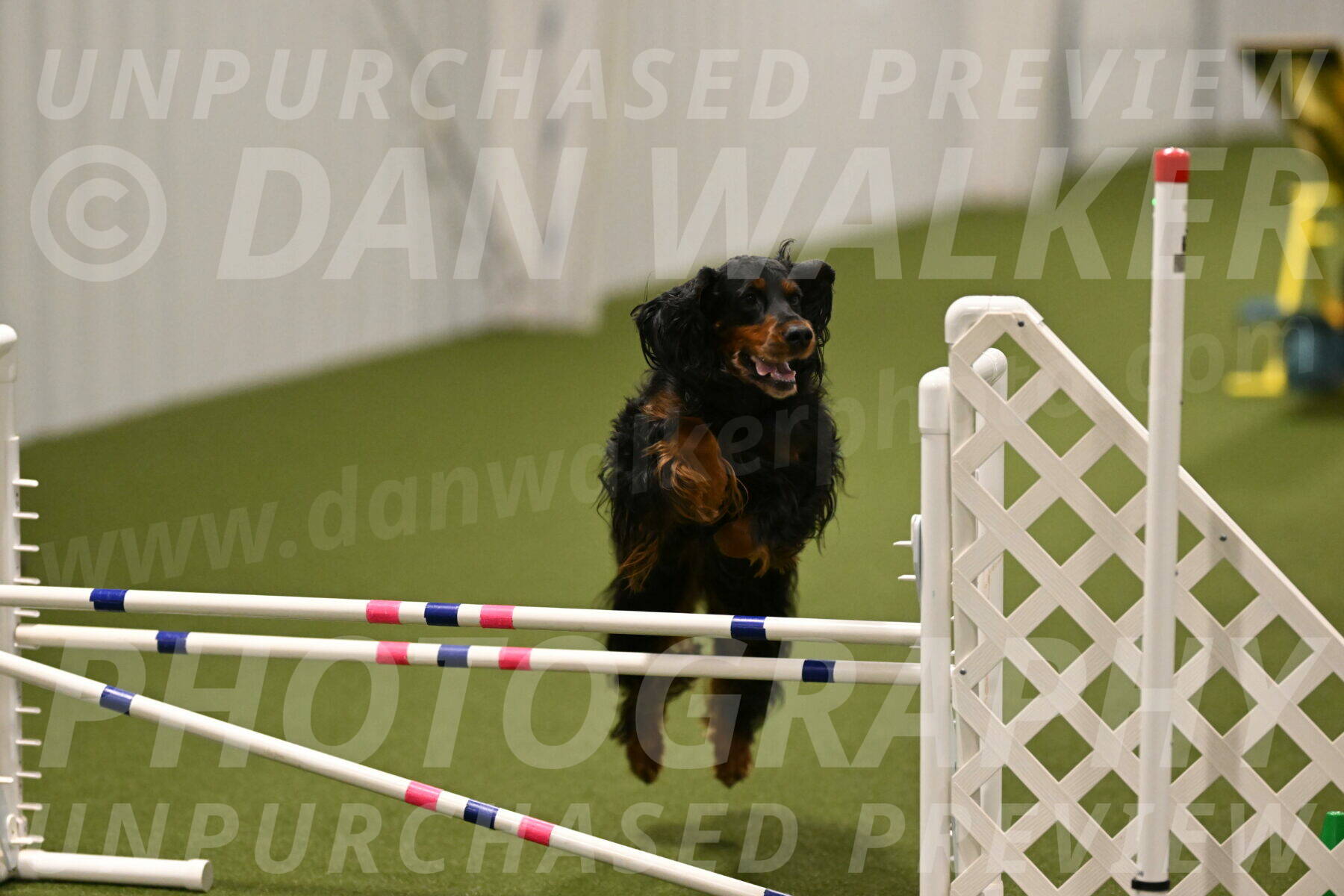 Journey-Candi-Gelis-10454