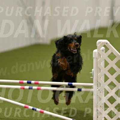 Journey-Candi-Gelis-10454