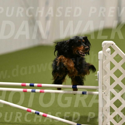 Journey-Candi-Gelis-10455