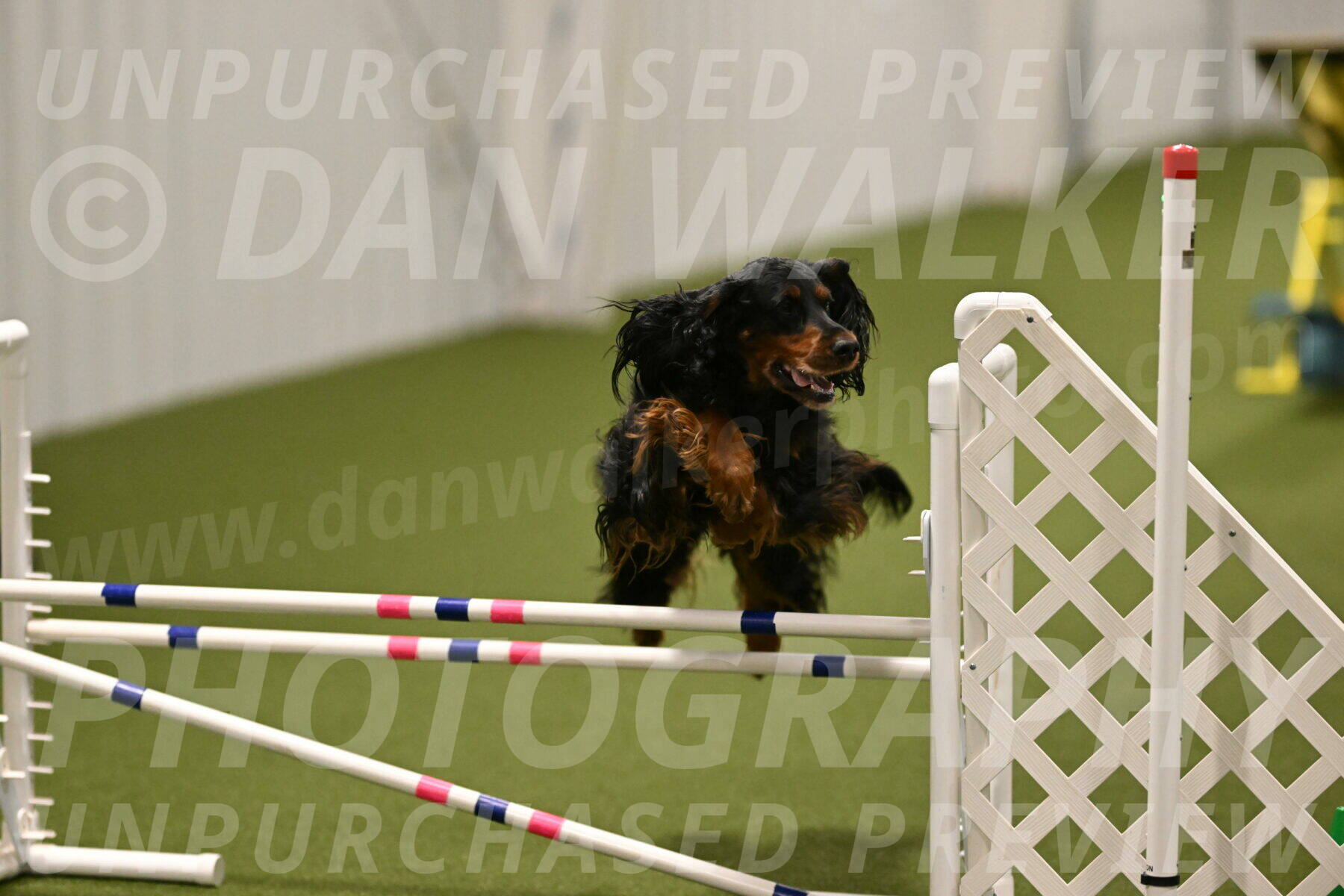 Journey-Candi-Gelis-10455