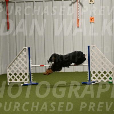 Journey-Candi-Gelis-10456