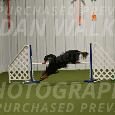 Journey-Candi-Gelis-10457