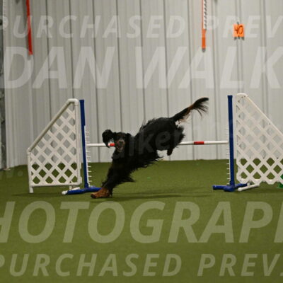 Journey-Candi-Gelis-10458