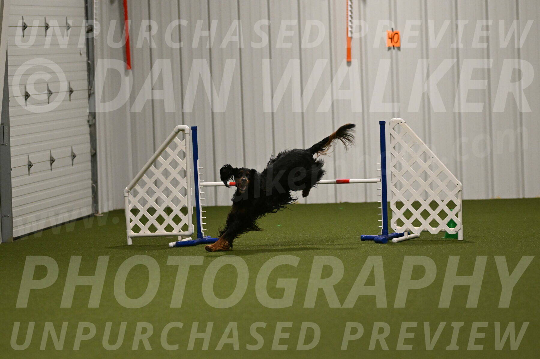 Journey-Candi-Gelis-10458