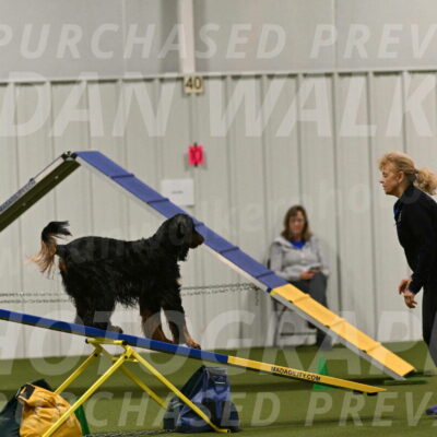 Journey-Candi-Gelis-10459