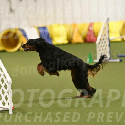 Journey-Candi-Gelis-10460