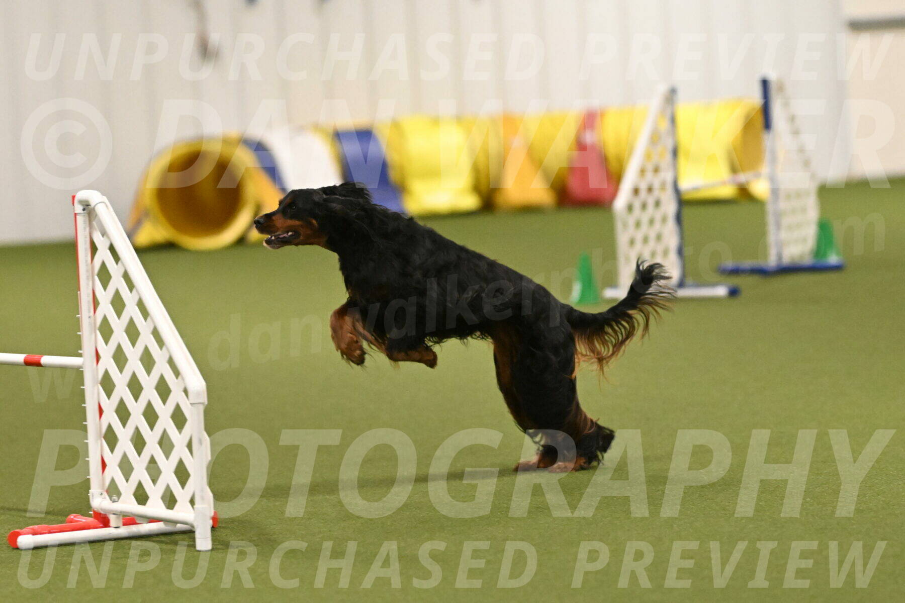 Journey-Candi-Gelis-10460