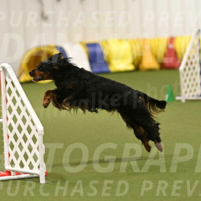 Journey-Candi-Gelis-10461