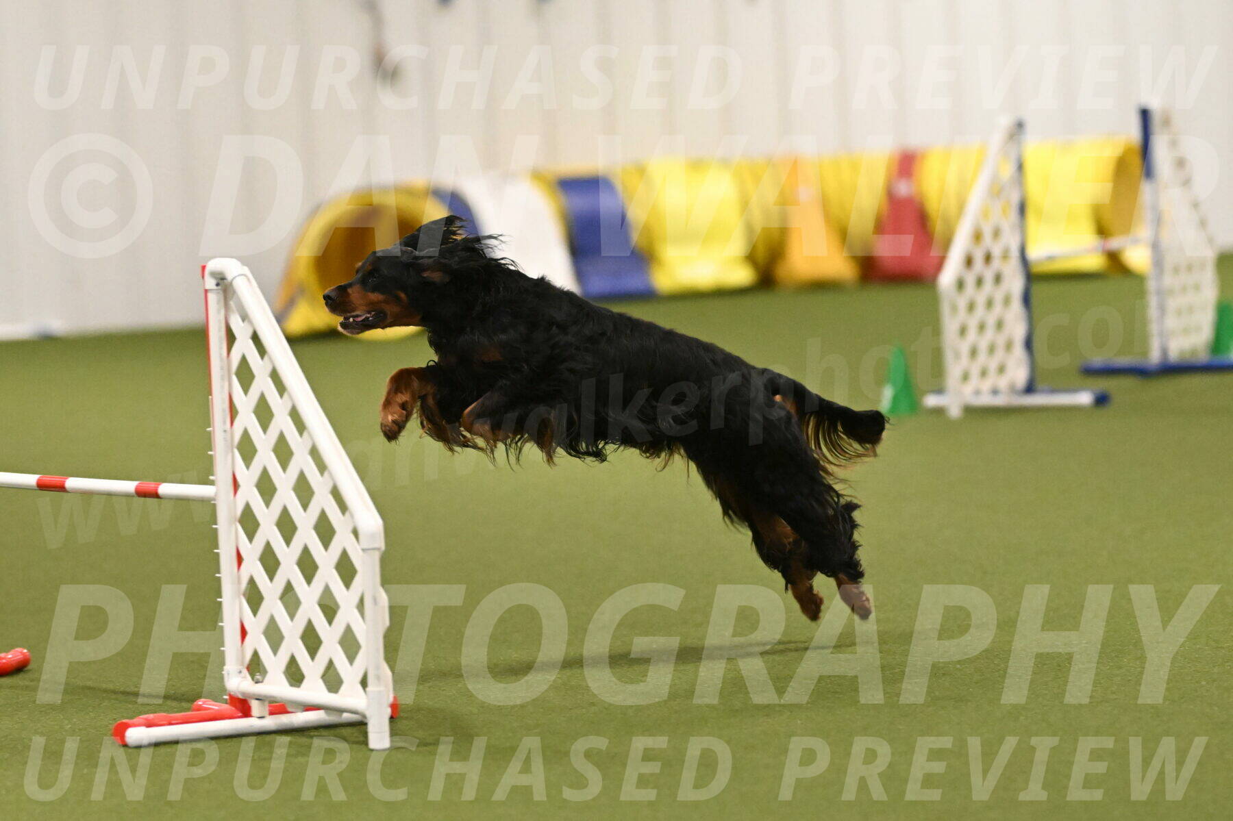 Journey-Candi-Gelis-10461