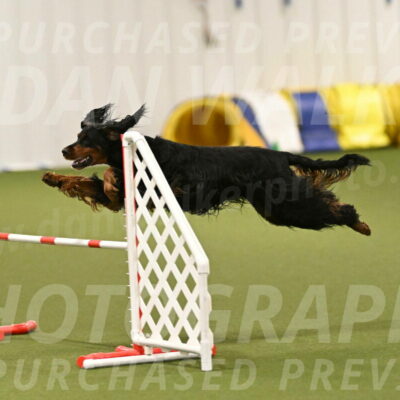 Journey-Candi-Gelis-10462