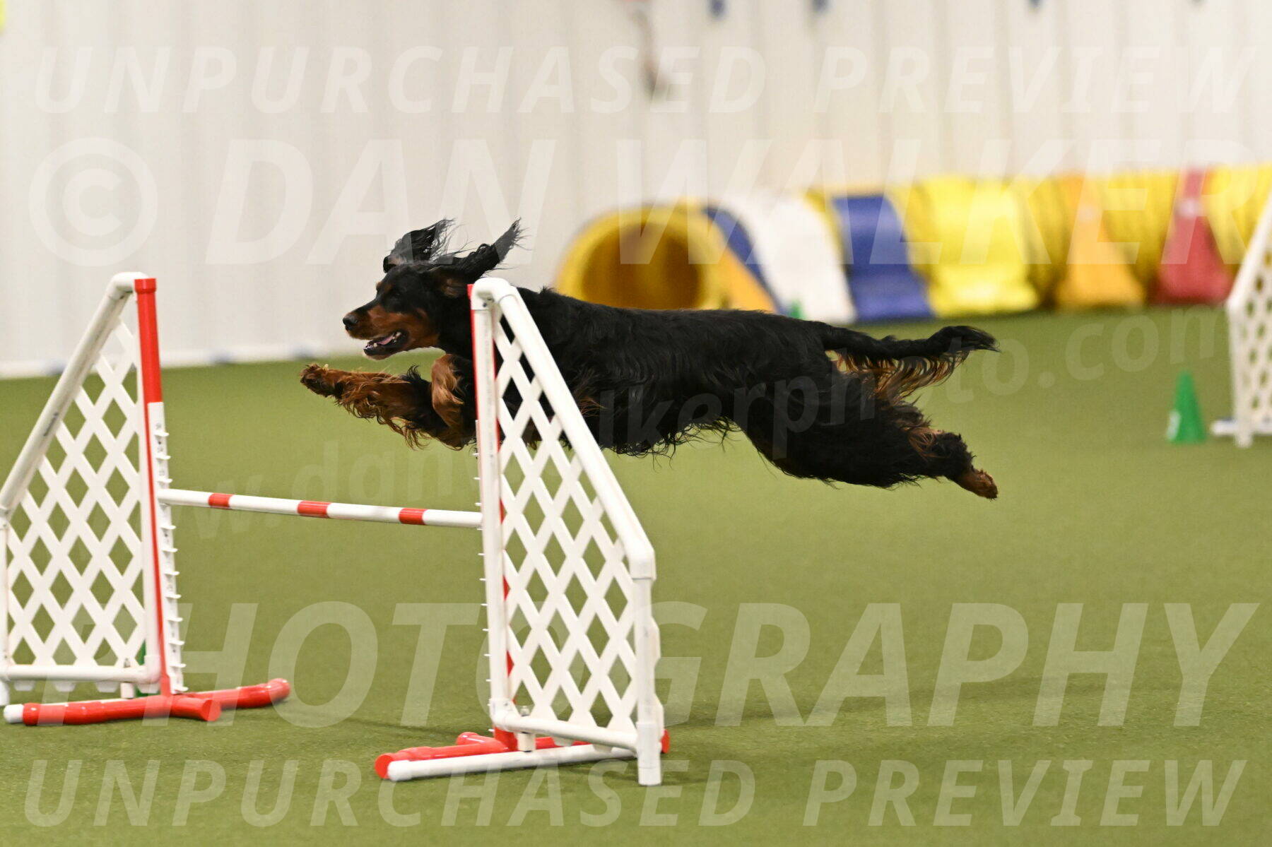 Journey-Candi-Gelis-10462