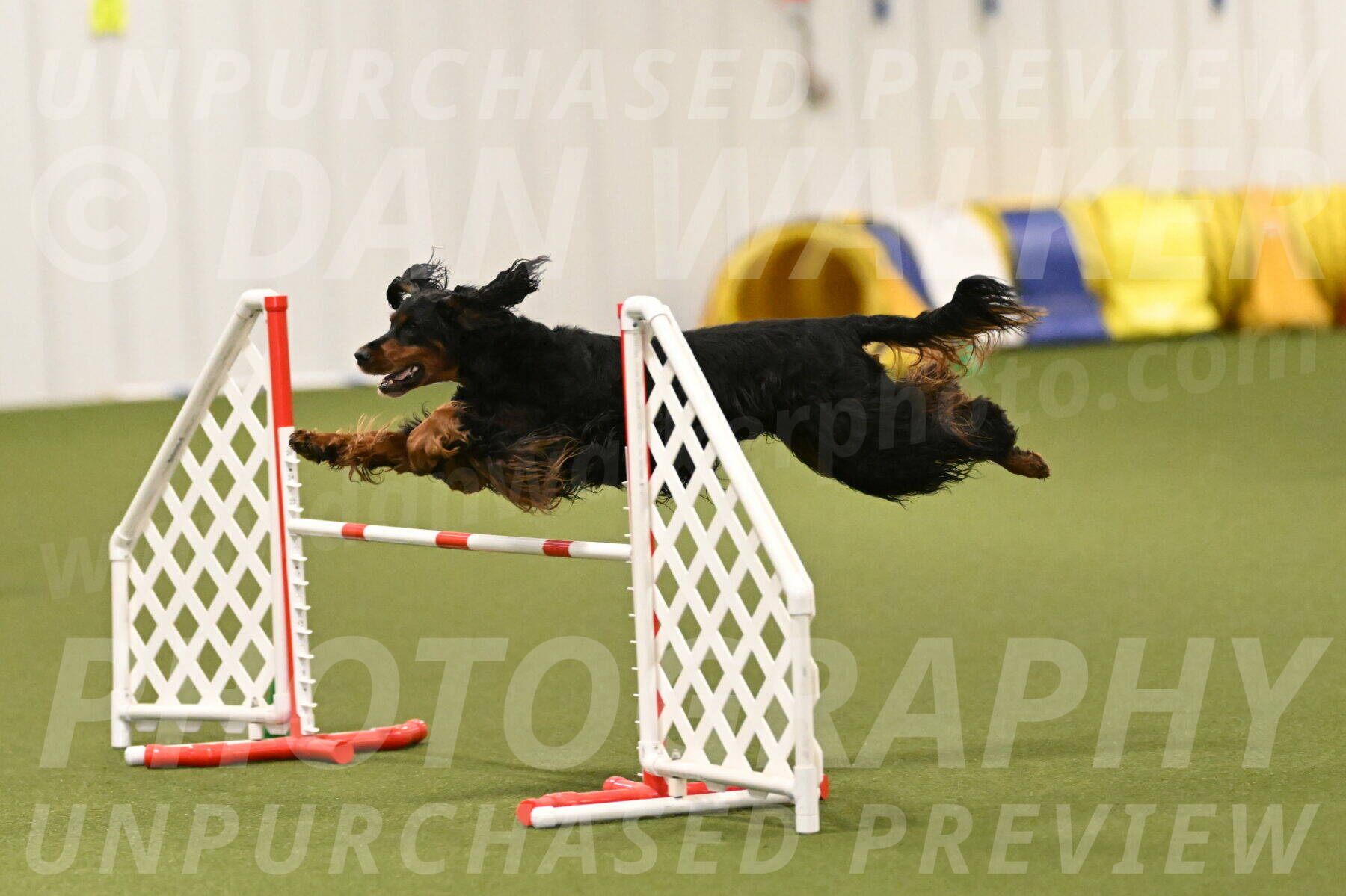 Journey-Candi-Gelis-10463