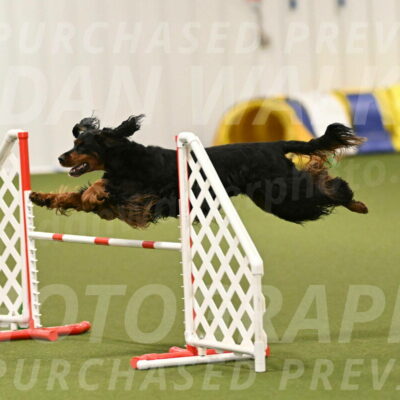 Journey-Candi-Gelis-10463