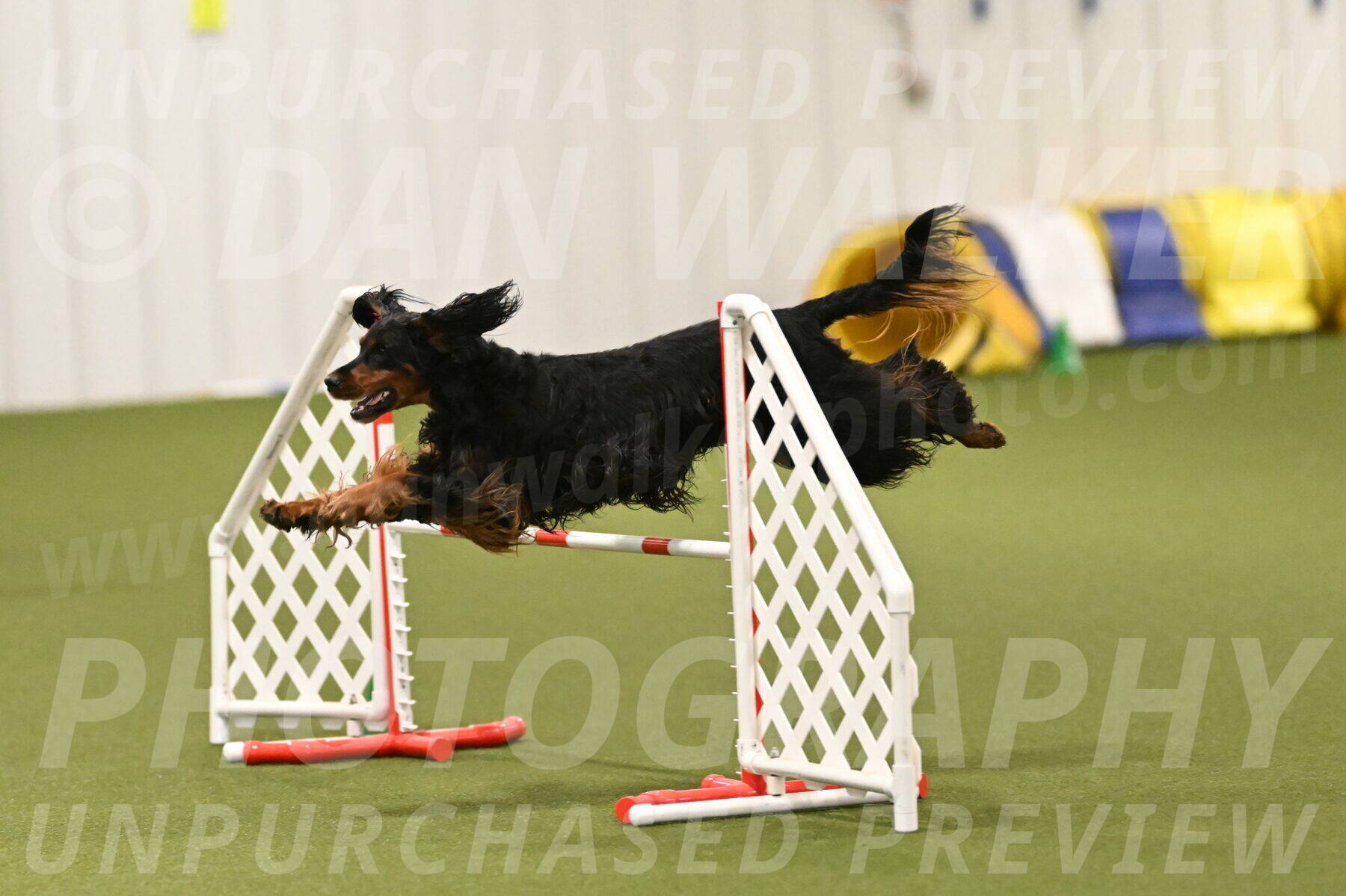 Journey-Candi-Gelis-10464