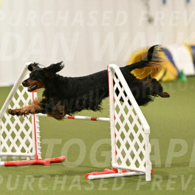 Journey-Candi-Gelis-10464